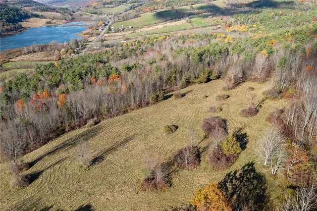 $599,900 | 197 Earles Road, Broome, NY 12122