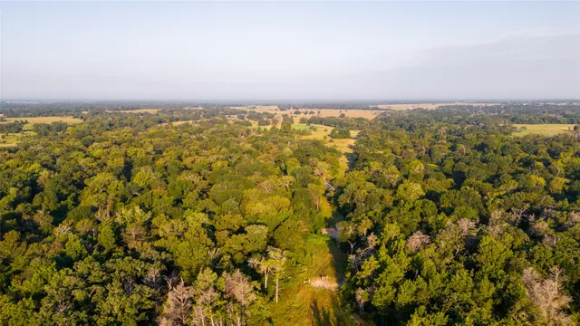 an aerial view of residential building and lake