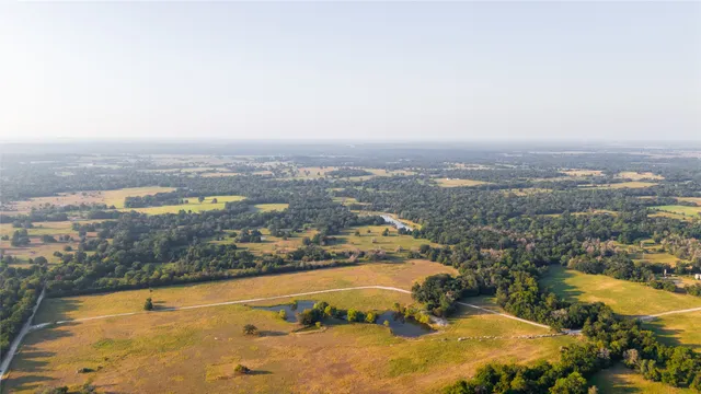 $1,050,000 | 100-ac Fellowship Lane East, Madisonville, TX 77864