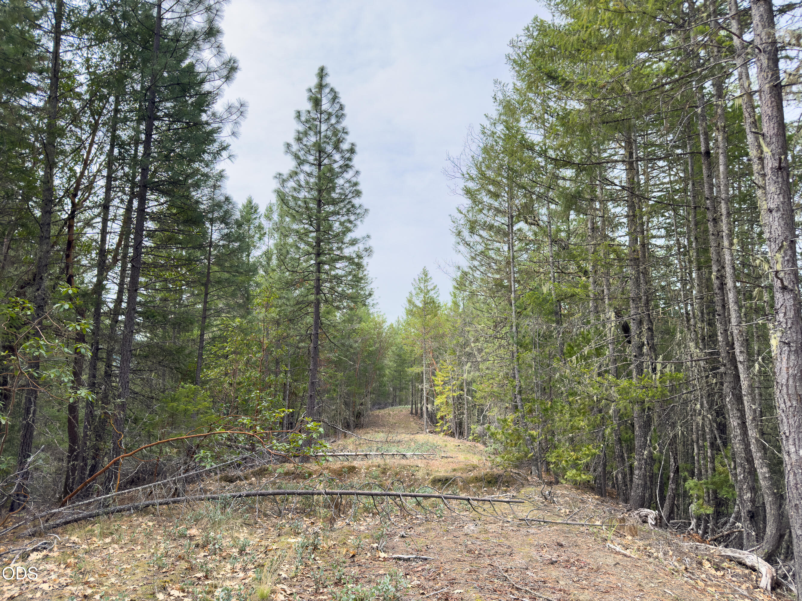 Pleasant Cr Road Rogue River, OR 97537 - Photo 41 of 42