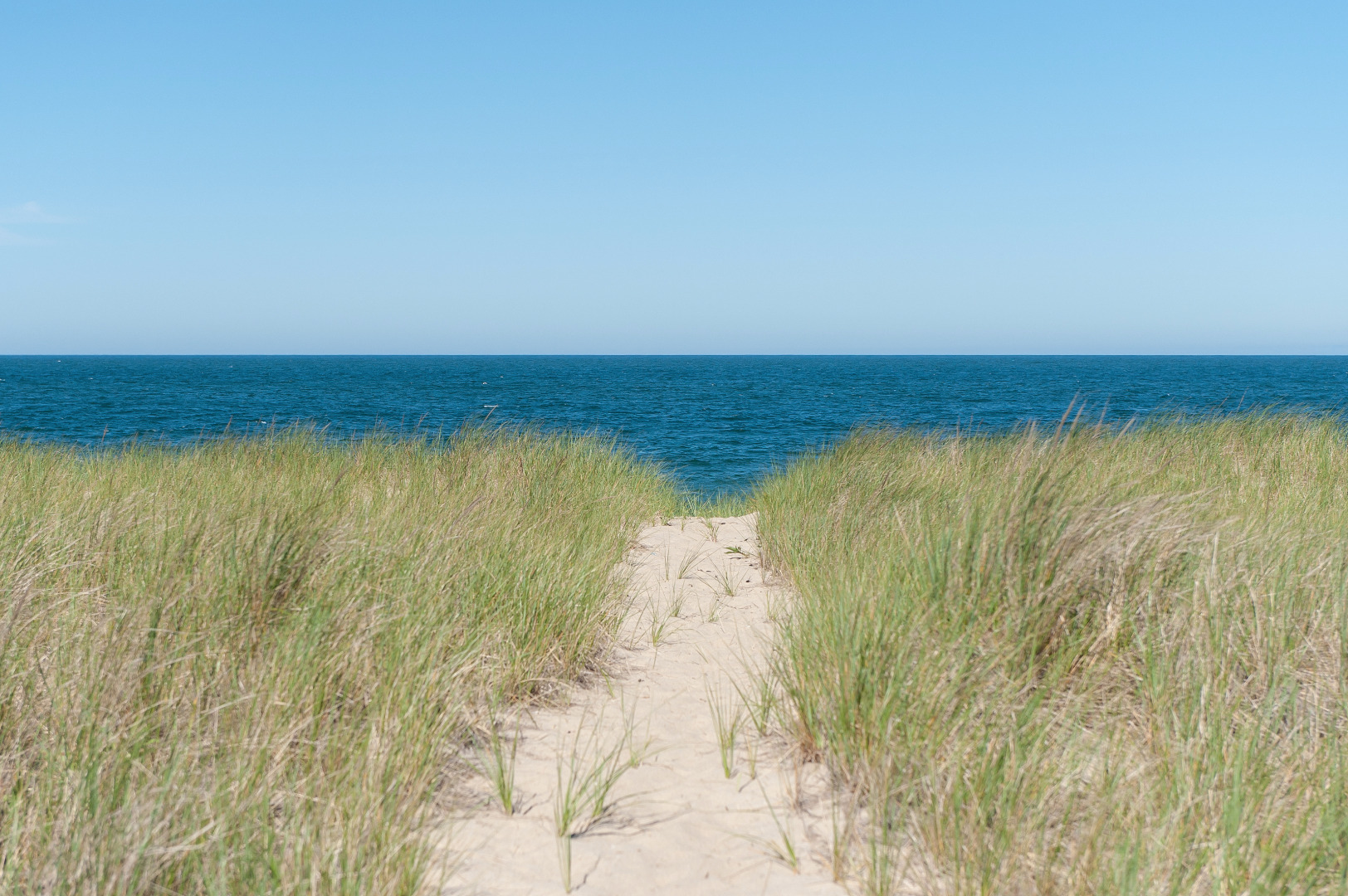 33 Squam Road Nantucket, MA 02554 - Photo 29 of 48 Gallery Image 29