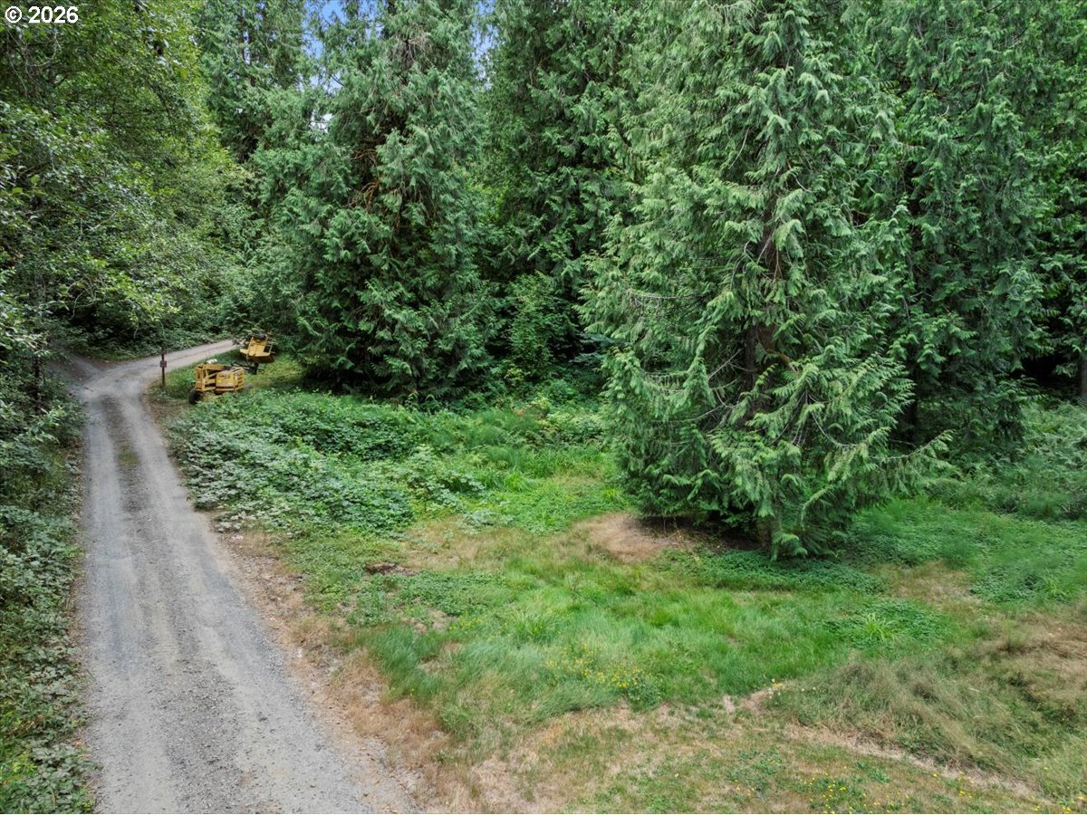 15611 Northeast Doneta Road Brush Prairie, WA 98606 - Photo 12 of 12