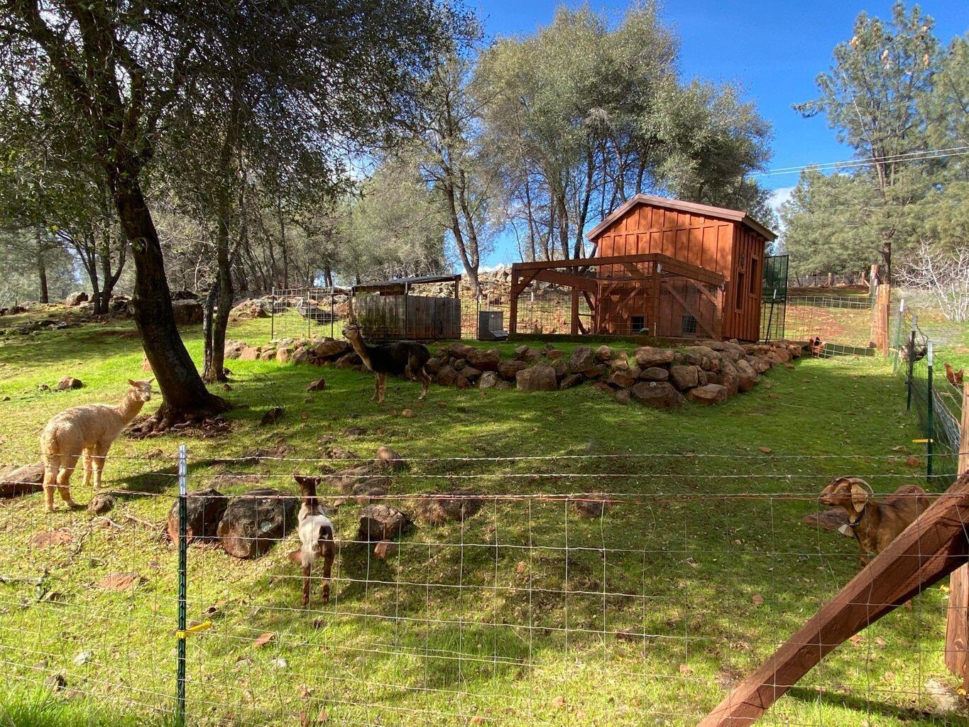 13518 Oak Run Road Oak Run, CA 96069 - Photo 27 of 40 20210907231857377203000000-o