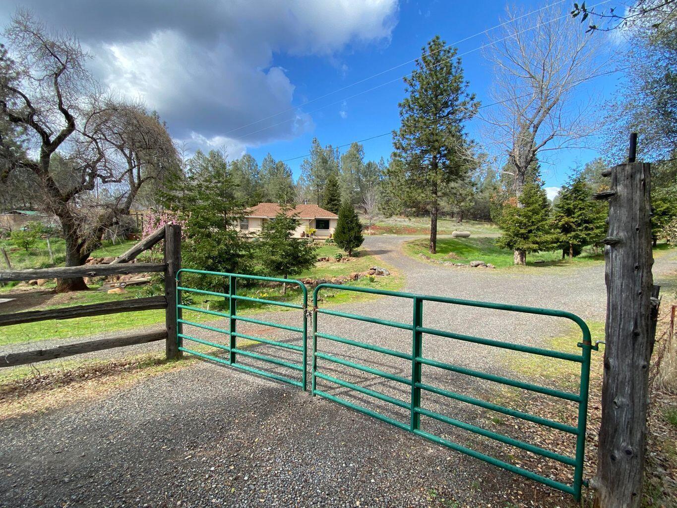 13518 Oak Run Road Oak Run, CA 96069 - Photo 36 of 40 20210907231907928608000000-o