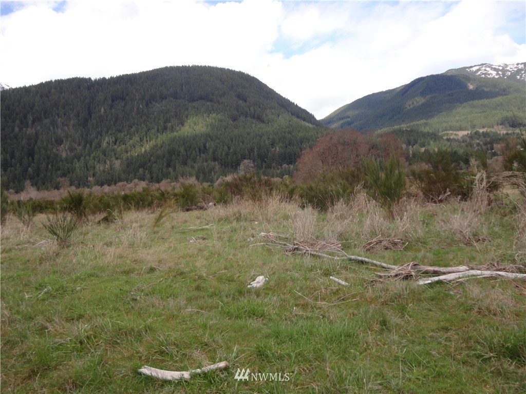 77-lot J River Ranch Road Randle, WA 98377 - Photo 7 of 7 Gallery Image 7