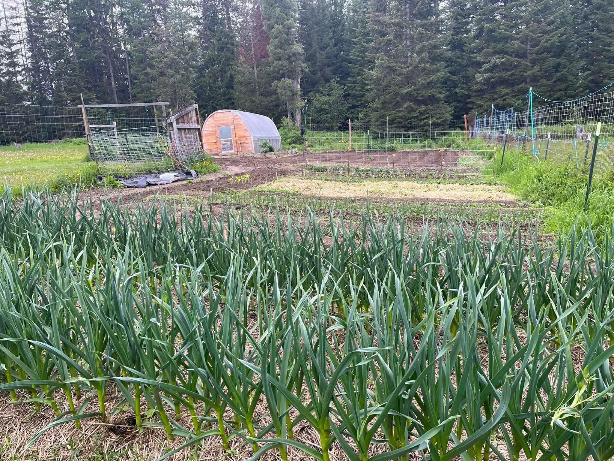263 Fourspots Road Cusick, WA 99119 - Photo 24 of 50