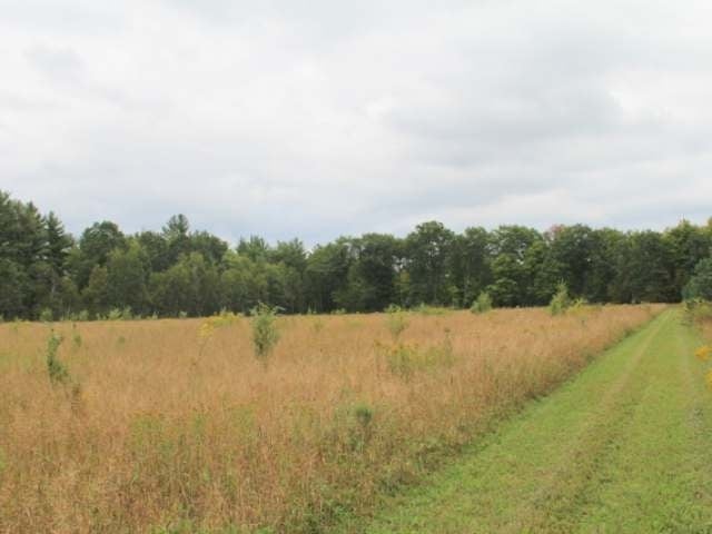 1-3 West Blomberg Road Exeland, WI 54835 - Photo 6 of 19 Gallery Image 6