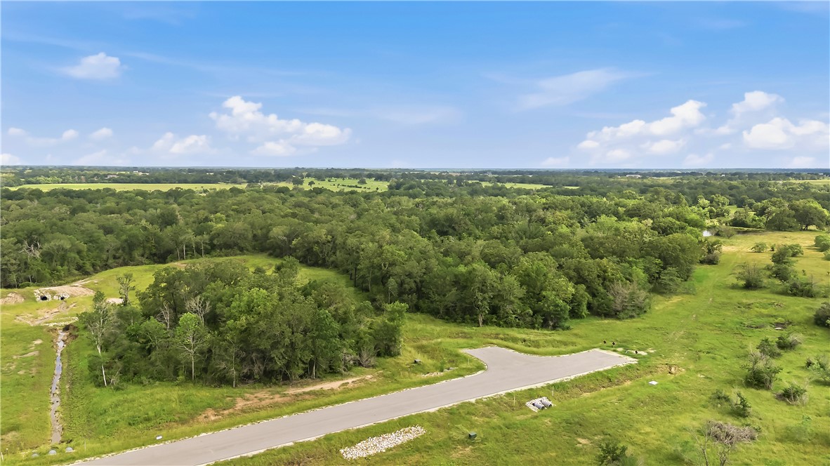 Tbd Tbd Plata Way Bryan, TX 77808 - Photo 17 of 25