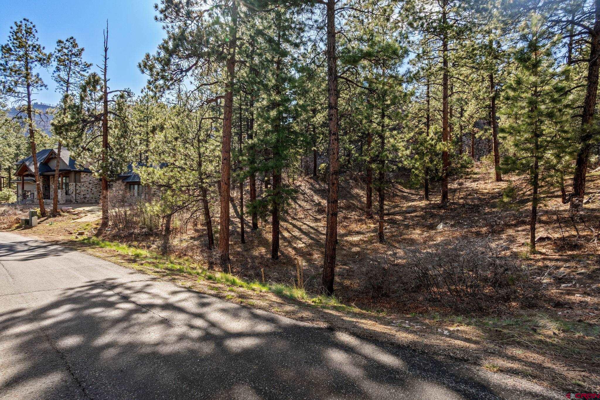 47 Ambush Canyon Durango, CO 81301 - Photo 10 of 18