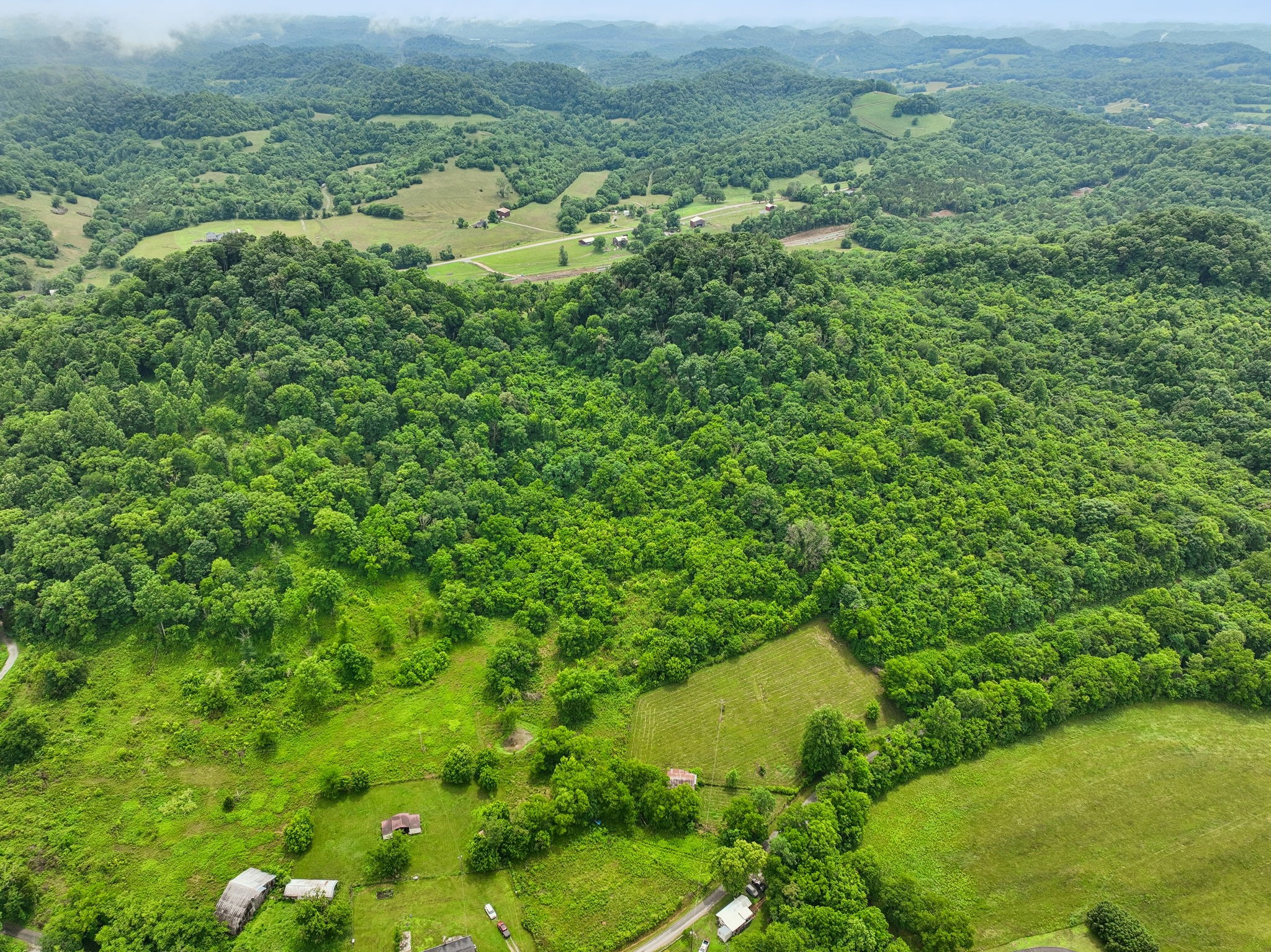 0 Little Salt Lick Creek Road Carthage, TN 37030 - Photo 8 of 17