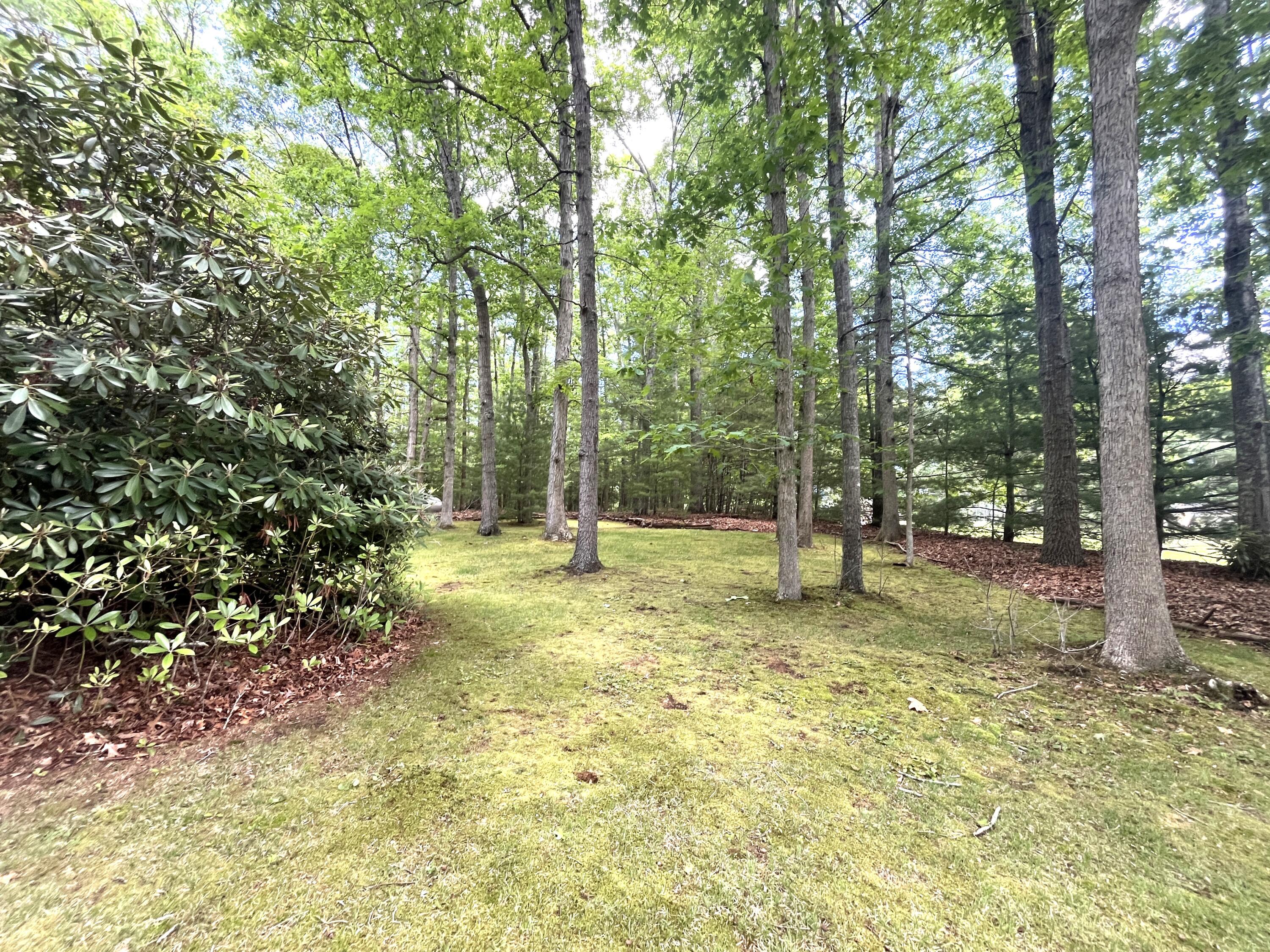 2092 Coleman Cliff Road Frankford, WV 24938 - Photo 42 of 52 Gallery Image 42