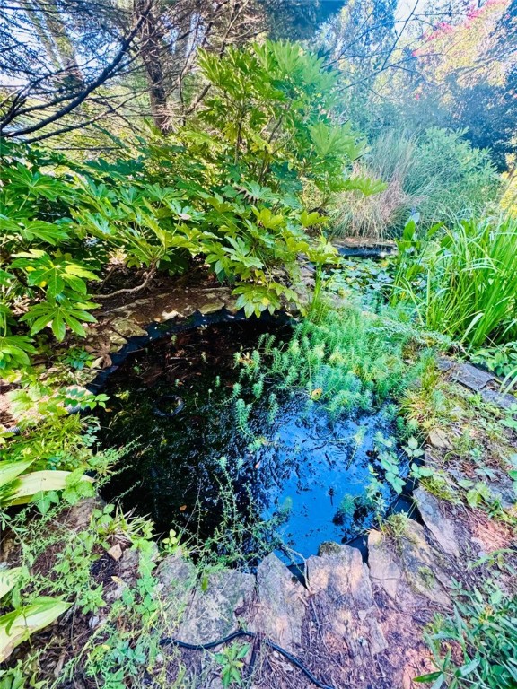 302 Chestnut Street Abbeville, SC 29620 - Photo 48 of 50 KOI POND