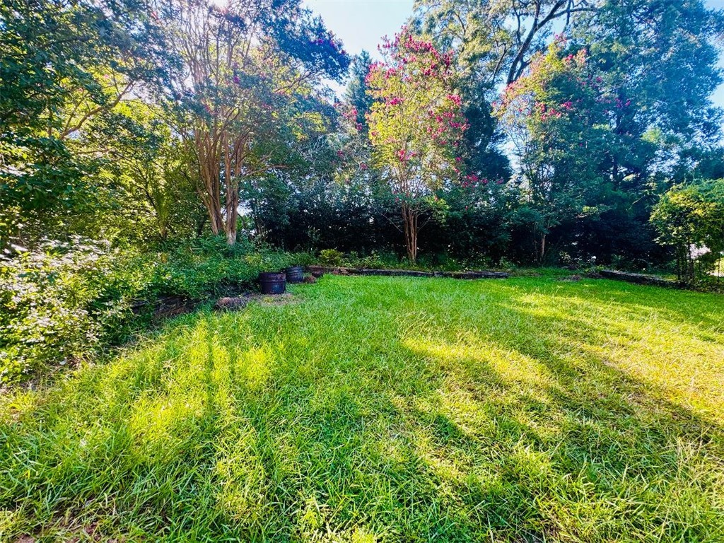 302 Chestnut Street Abbeville, SC 29620 - Photo 49 of 50 SIDE YARD