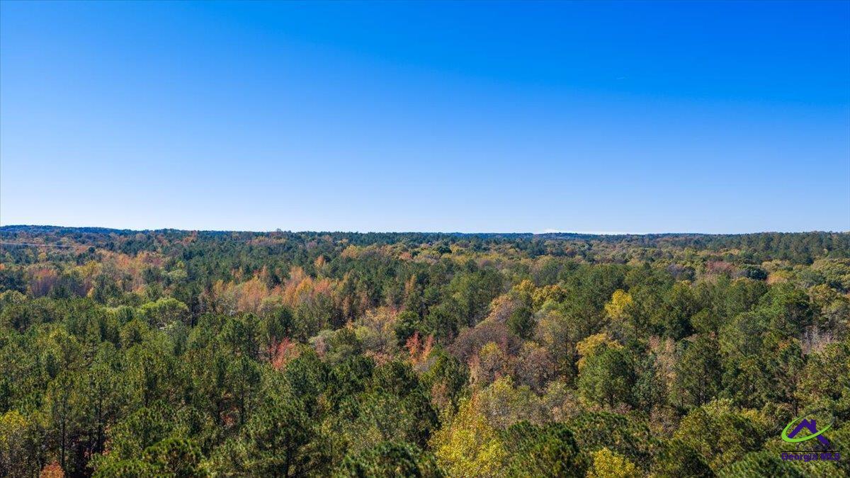 3271 Highway 42 Forsyth, GA 31029 - Photo 14 of 29