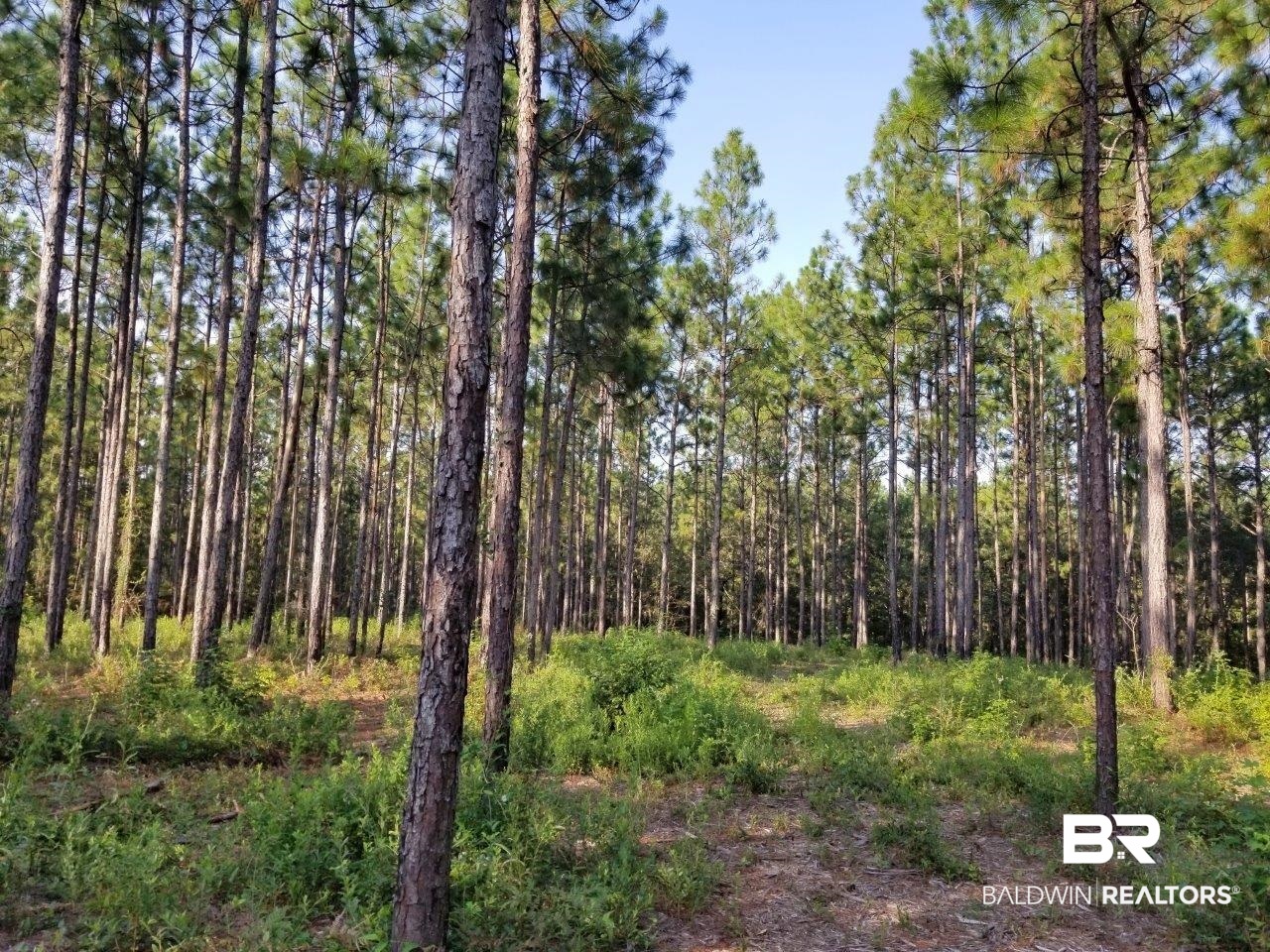 0 Jerkins Loop Atmore, AL 36502 - Photo 41 of 50