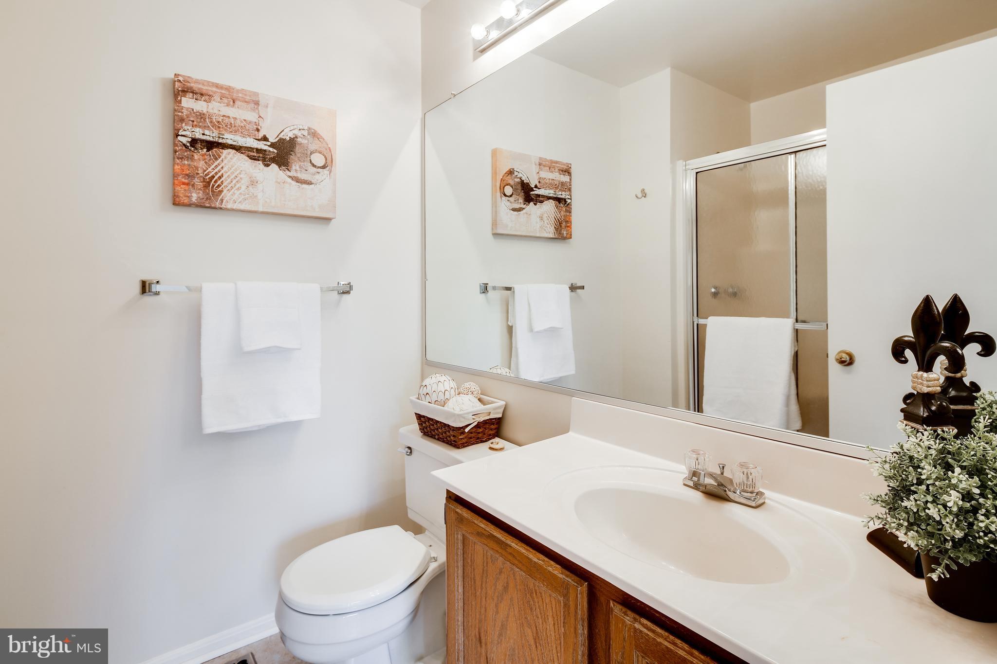 8731 Ruppert Court Ellicott City, MD 21043 - Photo 15 of 19 Bath (Master)