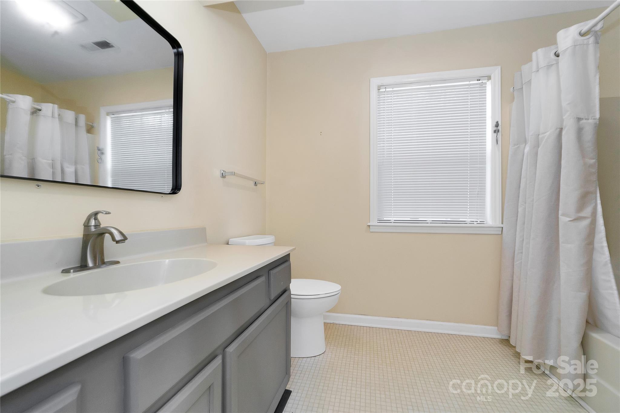 110 Lakeview Court Brevard, NC 28712 - Photo 17 of 30 a bathroom with a sink a toilet and a mirror
