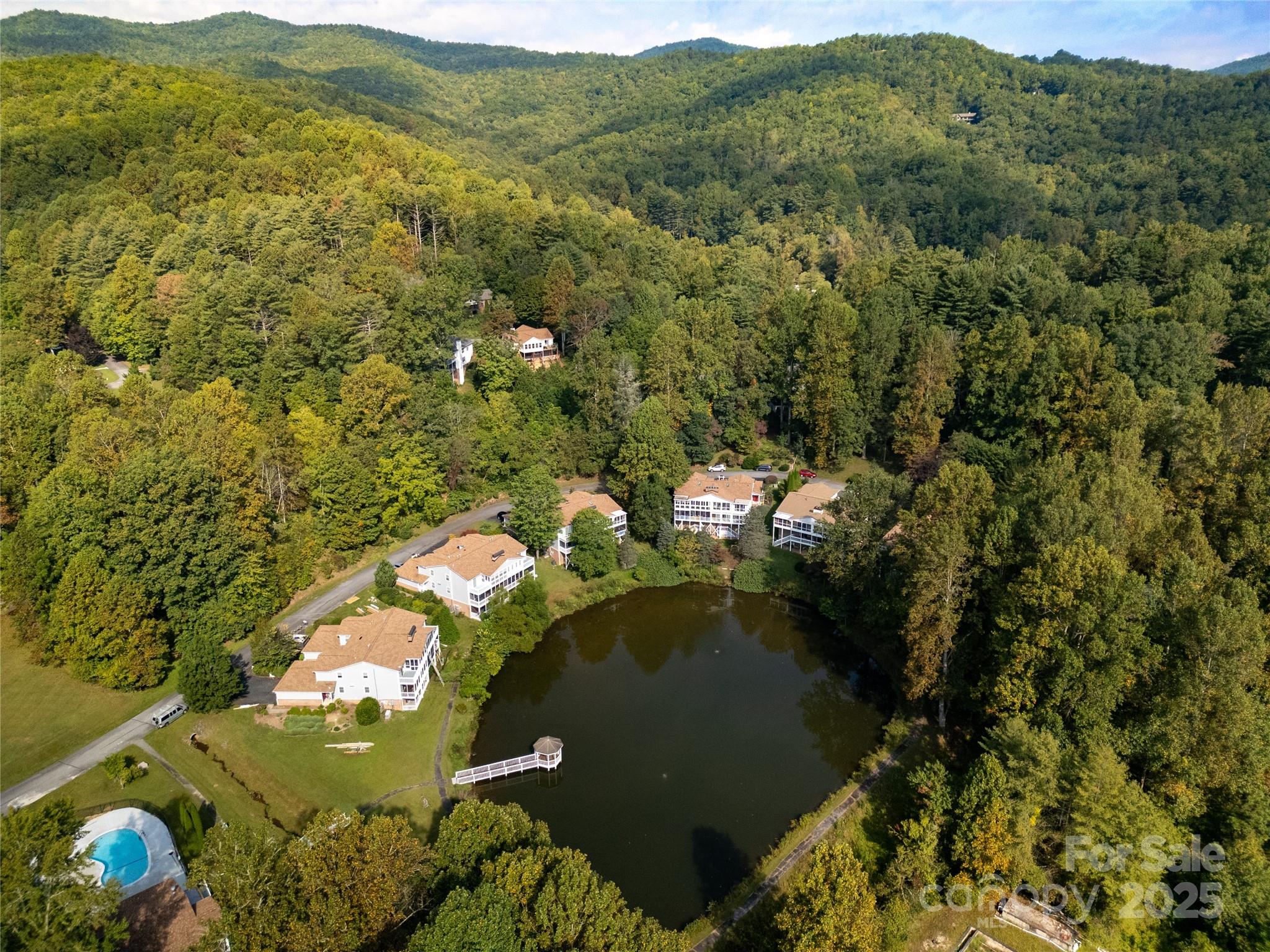 110 Lakeview Court Brevard, NC 28712 - Photo 25 of 30