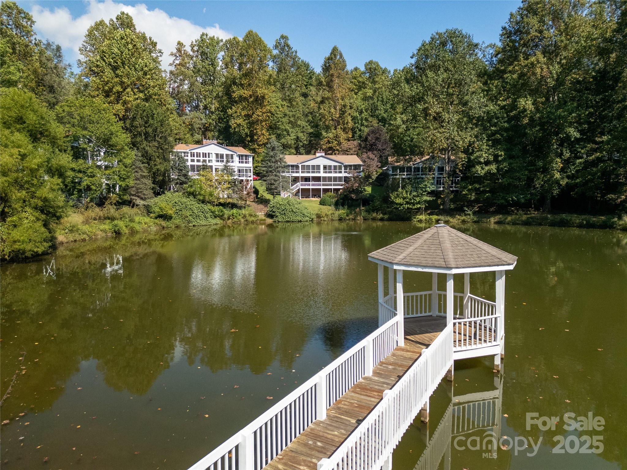 110 Lakeview Court Brevard, NC 28712 - Photo 26 of 30 a small pool with some trees in the background