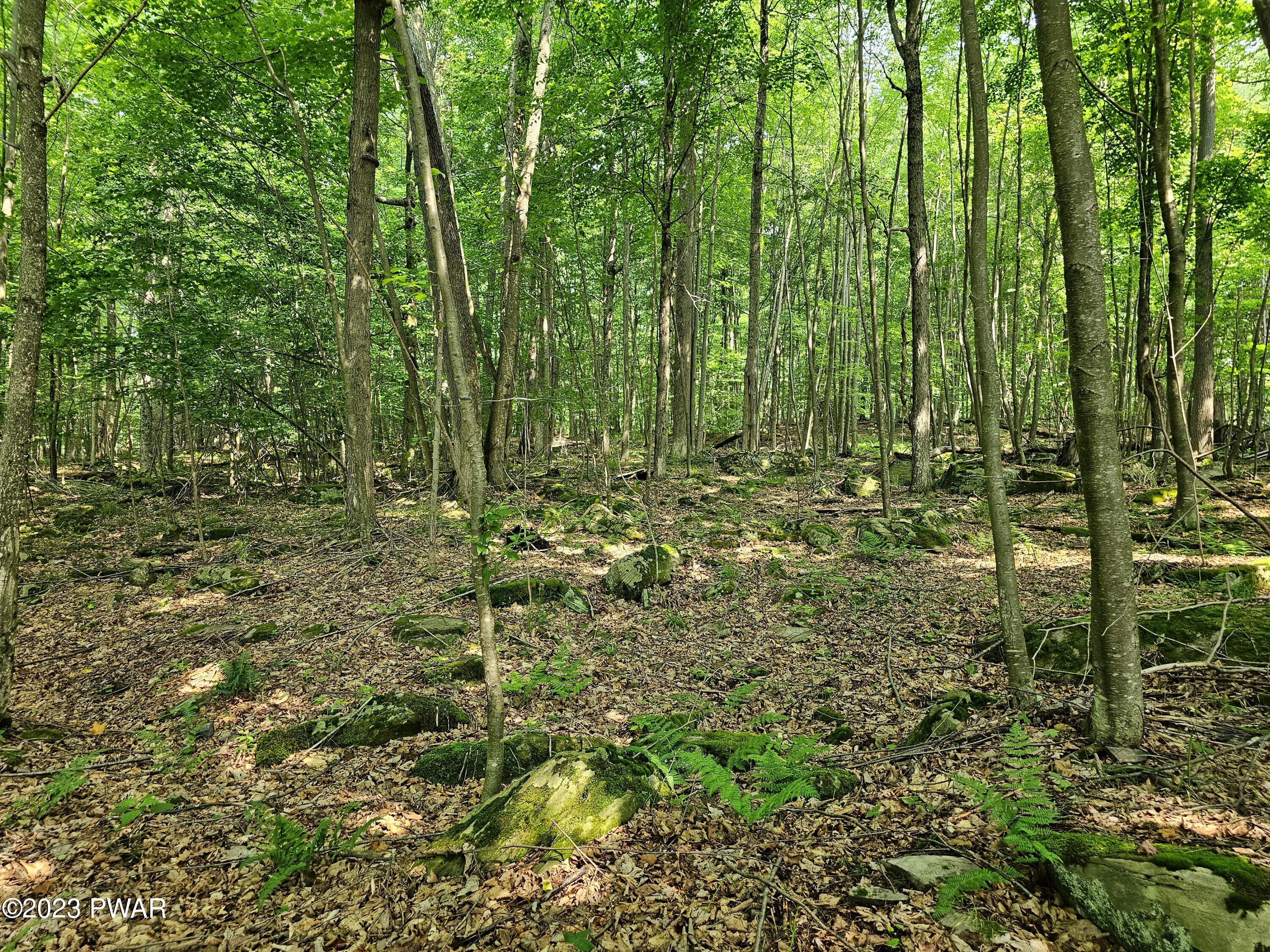Lot 61 Rock Run Road Damascus, PA 18415 - Photo 20 of 56