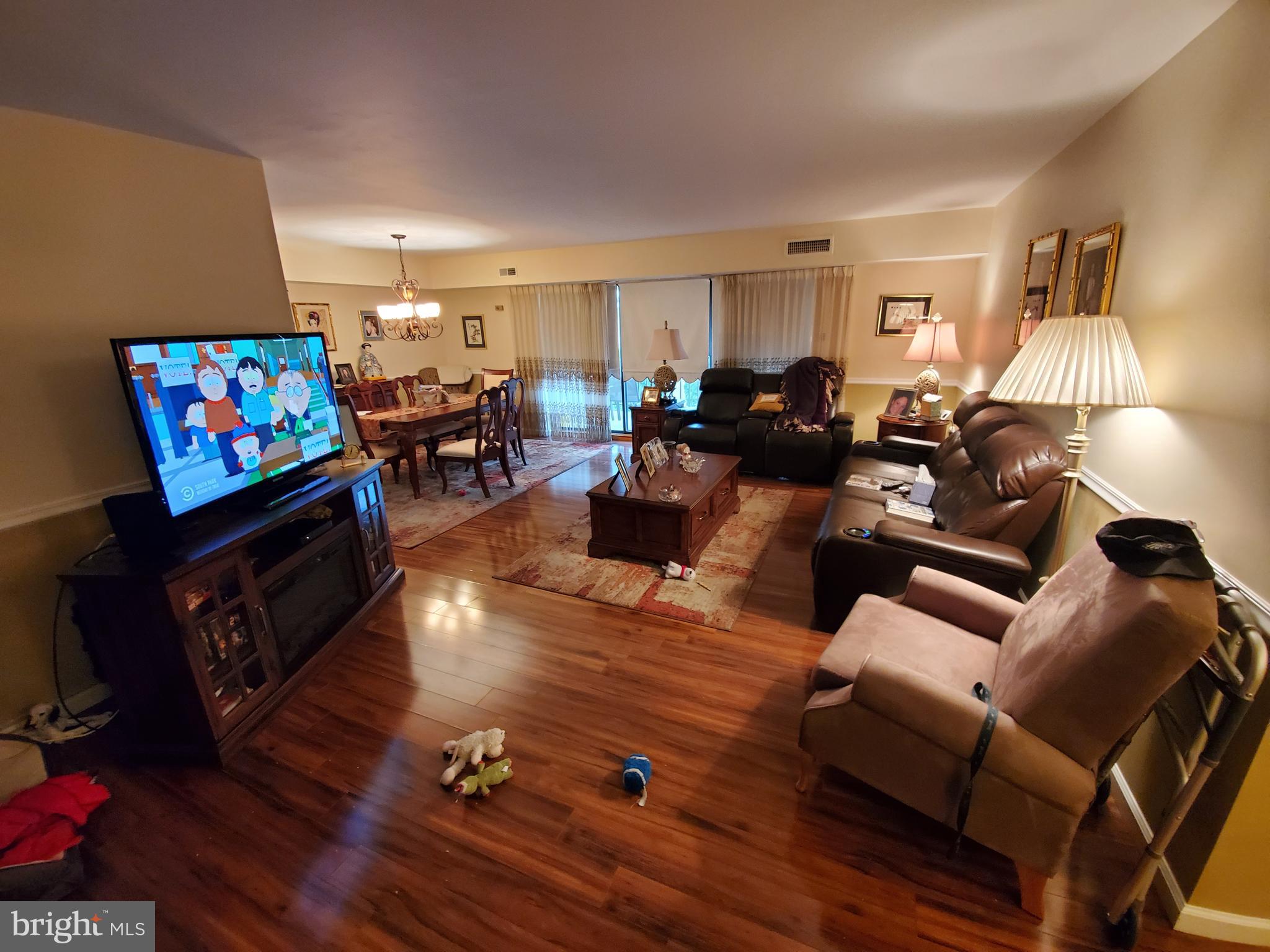 Living room picture1