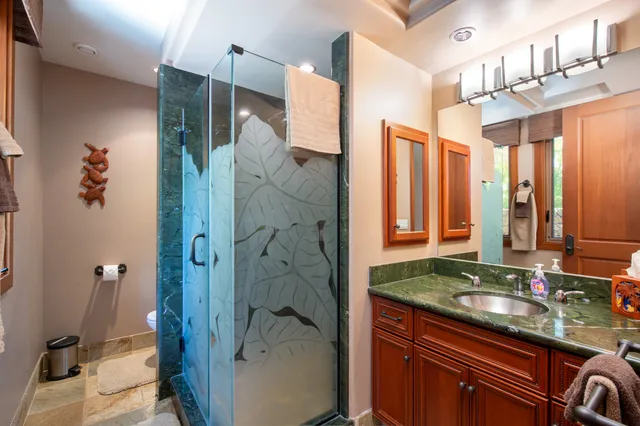 a bathroom with a granite countertop sink a mirror and shower