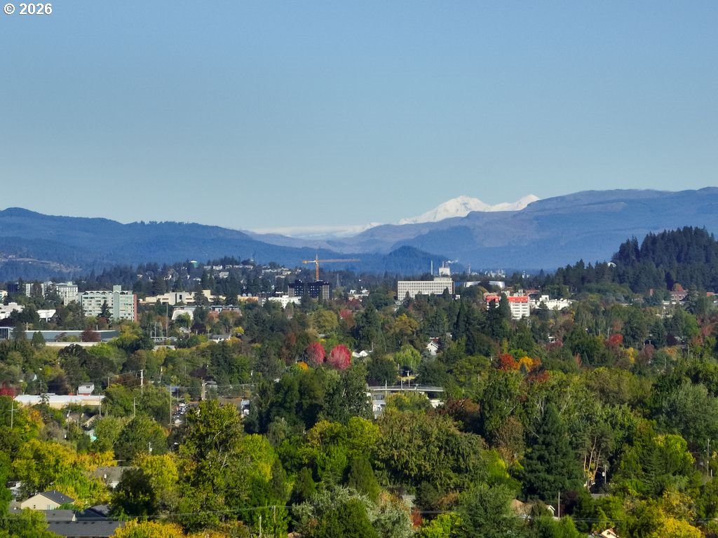 2055 Broadview Street Eugene, OR 97405 - Photo 44 of 45 a view of a lush green field with mountains in the background