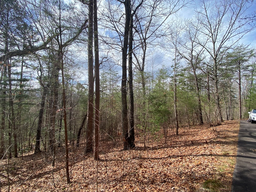 Lot 9 Turtle Ridge Trail Murphy, NC 28906 - Photo 6 of 10