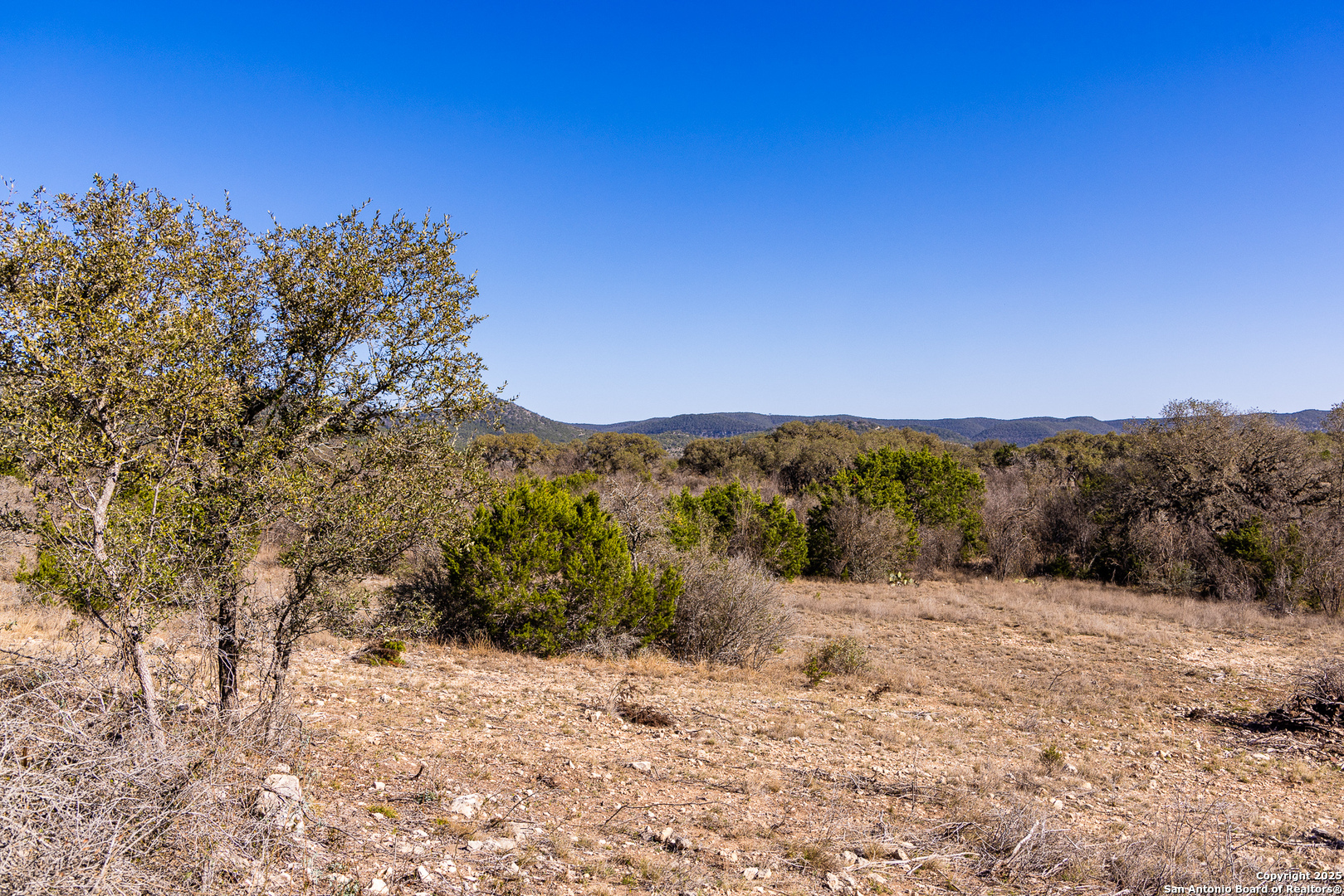 2350 Little Dry Frio Road Rio Frio, TX 78879 - Photo 11 of 26