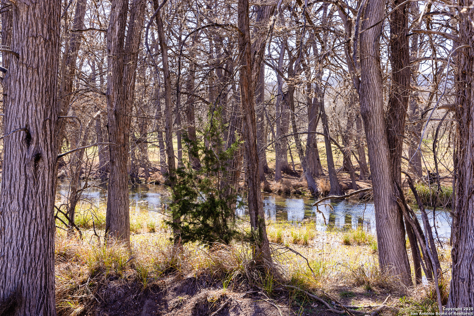 2350 Little Dry Frio Road Rio Frio, TX 78879 - Photo 20 of 26