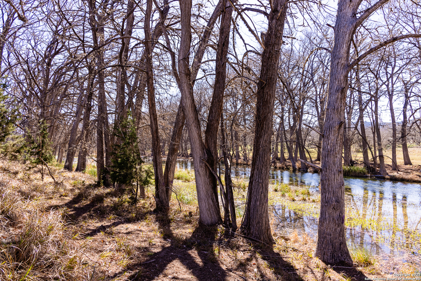 2350 Little Dry Frio Road Rio Frio, TX 78879 - Photo 21 of 26