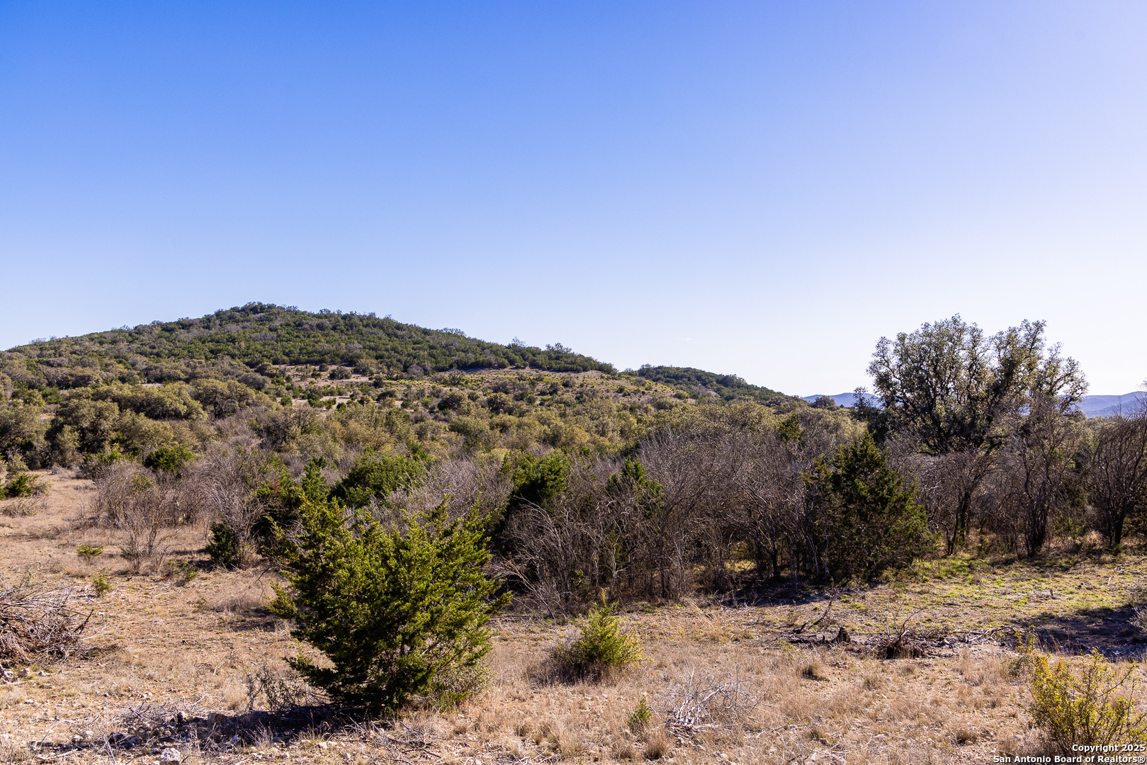 2350 Little Dry Frio Road Rio Frio, TX 78879 - Photo 10 of 26