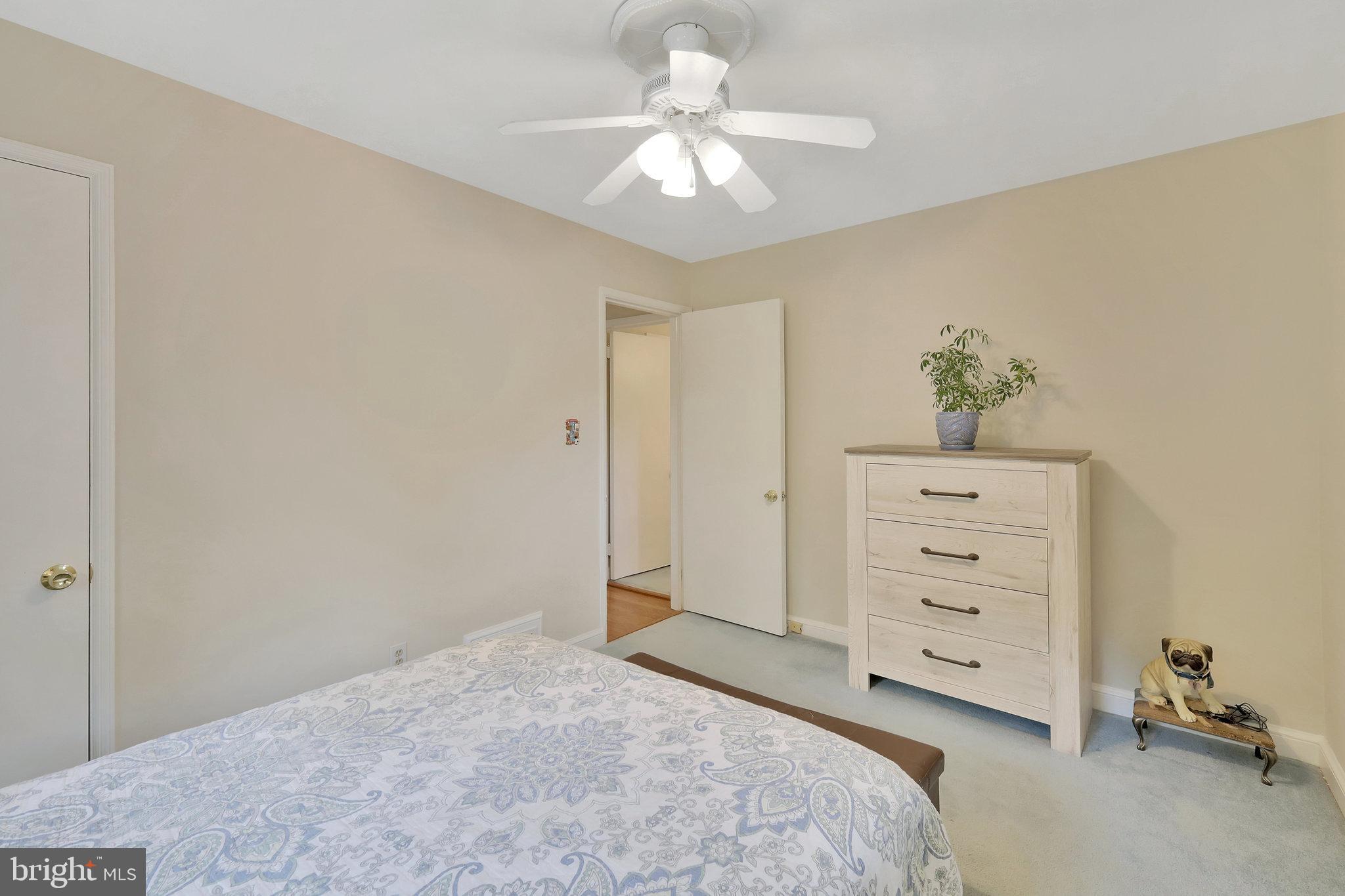 3554 Military Road Arlington, VA 22207 - Photo 16 of 33 2nd bedroom