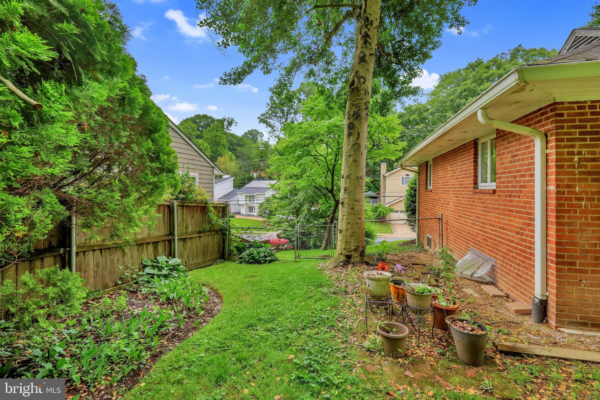 3554 Military Road Arlington, VA 22207 - Photo 29 of 33 Nicely landscaped around the home