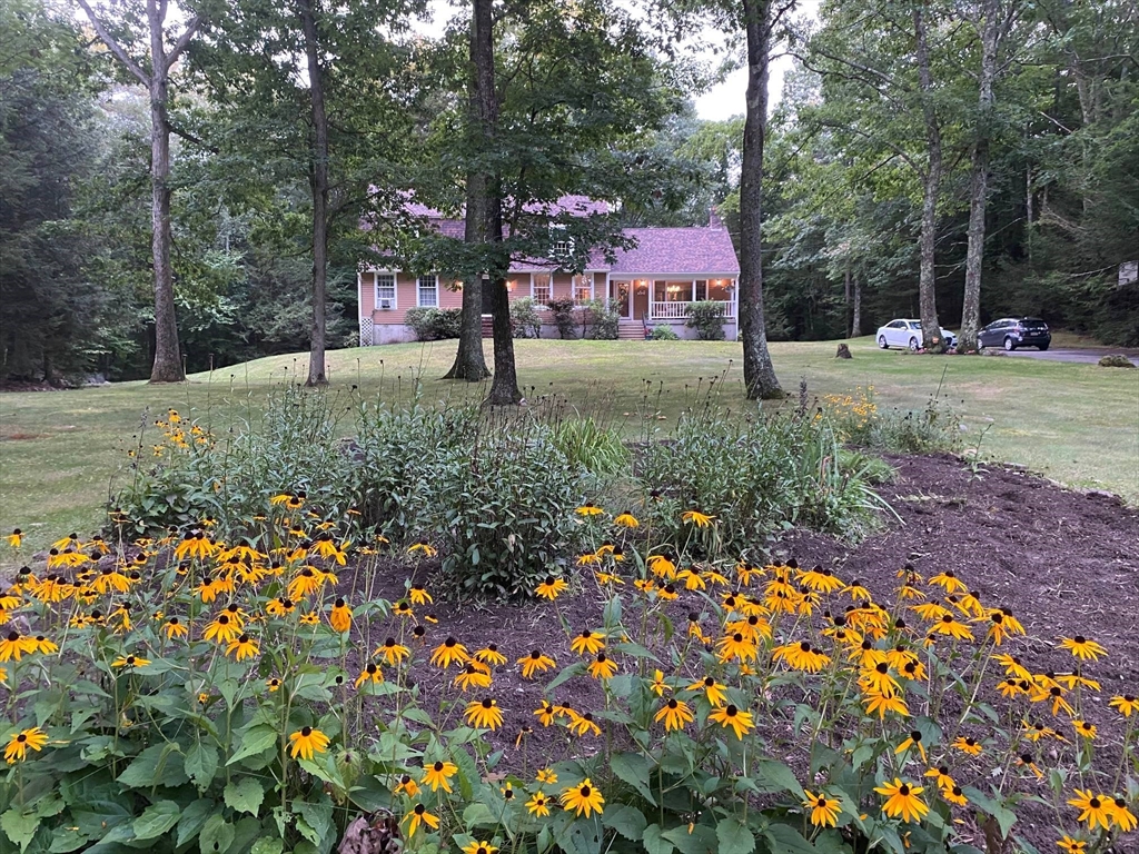 a backyard of a house with lots of green space and fountain