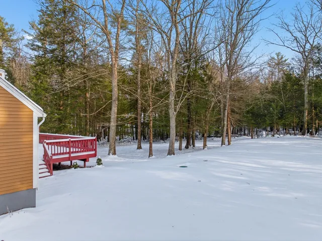 a view of a park with large trees