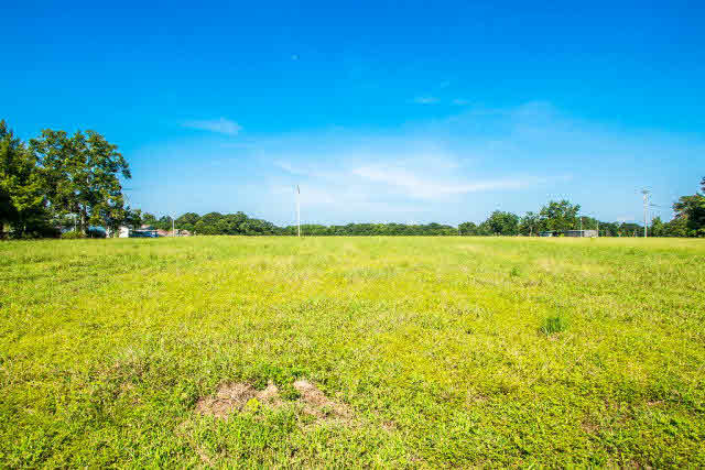 22296 Buck Road Robertsdale, AL 36567 - Photo 3 of 7