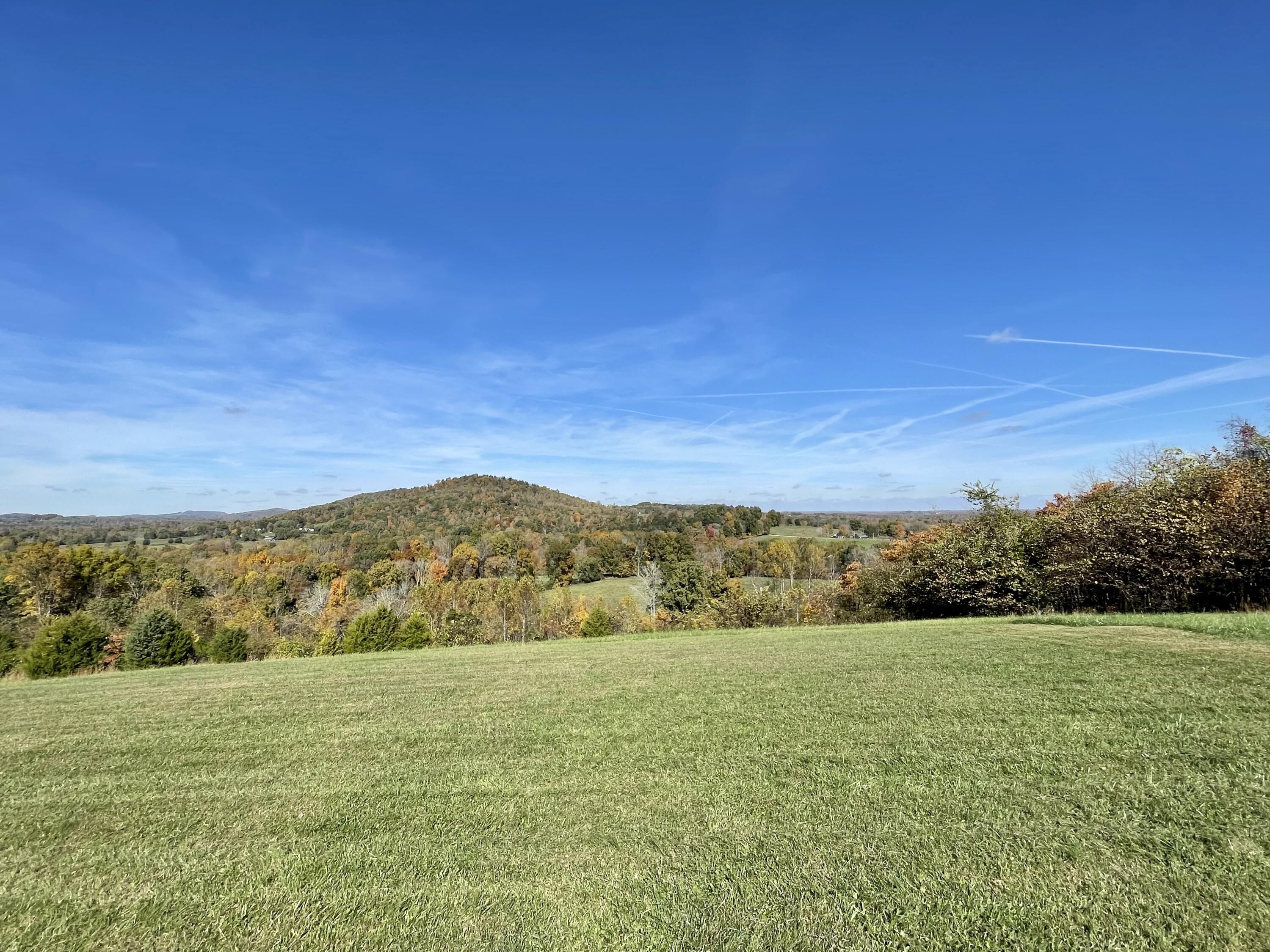 587 Irvine Road Science Hill, KY 42553 - Photo 30 of 90 D45EC313-FE97-4F56-AD37-D4513CA21D3E