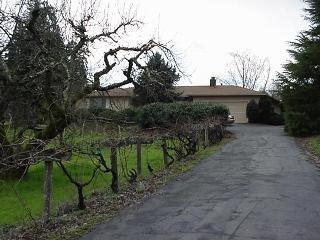 9696 Cherry Ridge Road Sebastopol, CA 95472 - Photo 1 of 5 a backyard of a house with lots of green space