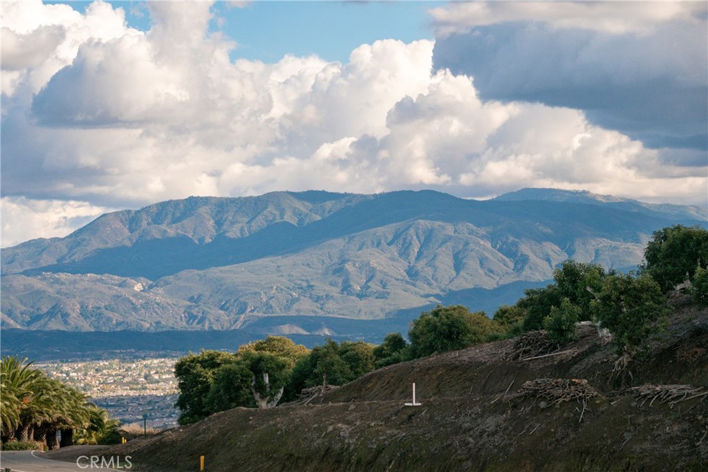 44195 Vía Horca Temecula, CA 92590 - Photo 66 of 74 a view of a lot of trees in the background
