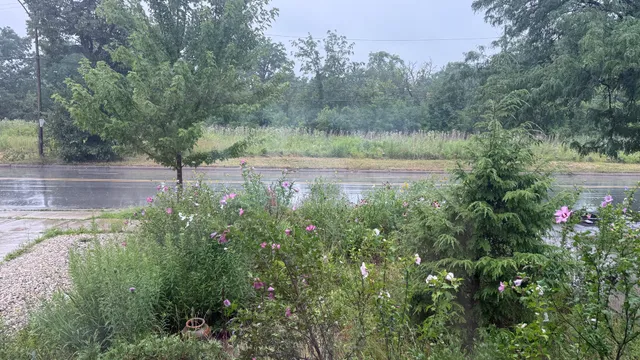 $815,000 | 5881 North Central Avenue, Chicago, IL 60646