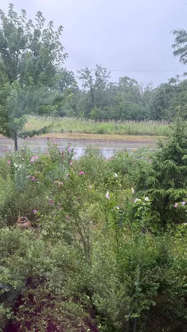 $815,000 | 5881 North Central Avenue, Chicago, IL 60646