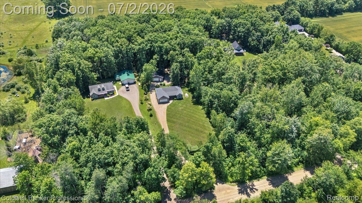 8224 Petz Road Imlay City, MI 48444 - Photo 29 of 32 08-DJI_20260622133342_0521_D.jpg