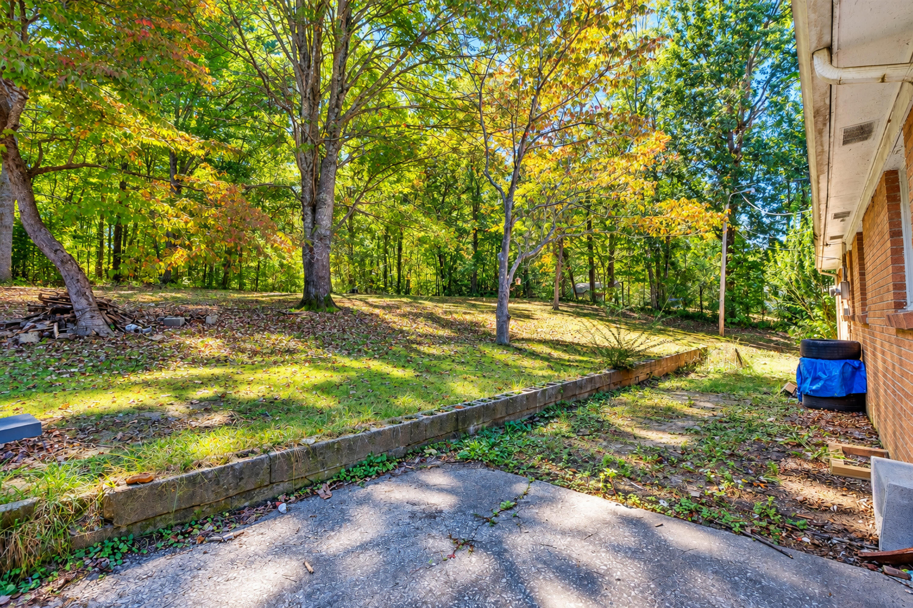 165 Valley Road Stearns, KY 42647 - Photo 11 of 27 165 Valley Road-11