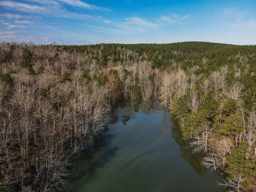 Lot#89 Stoney Point Road North Double Springs, AL 35553 - Photo 9 of 32 Gallery Image 9