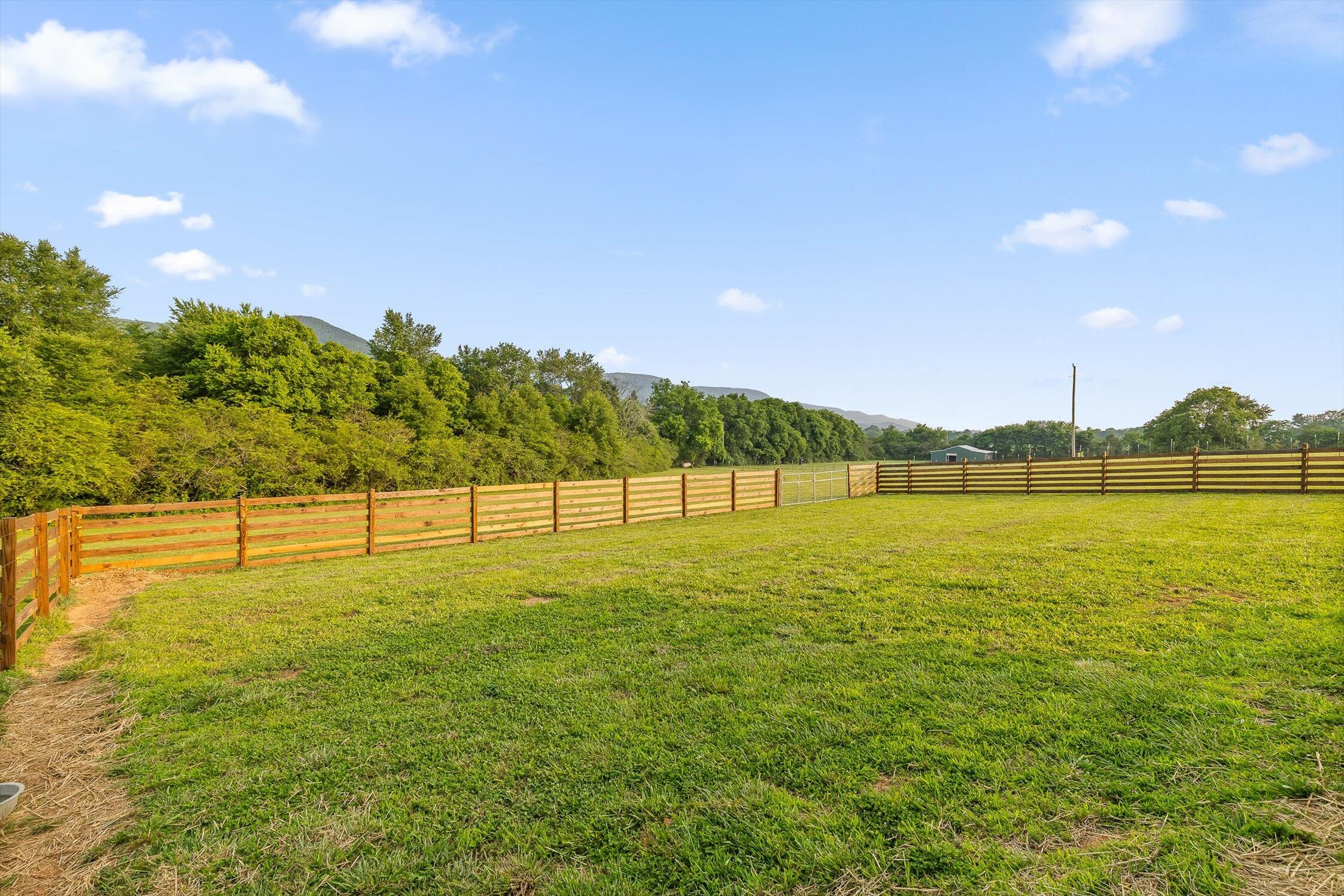 229 Blue Bird Lane Dunlap, TN 37327 - Photo 55 of 93 Fenced back yard