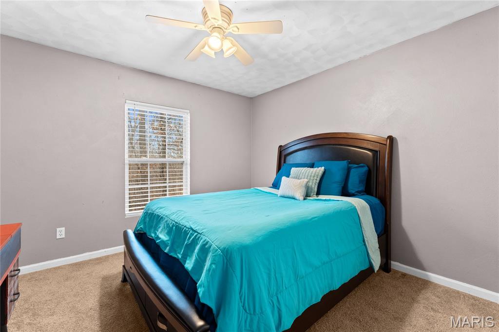 223 North Cedar Bluff Drive Valmeyer, IL 62295 - Photo 24 of 40