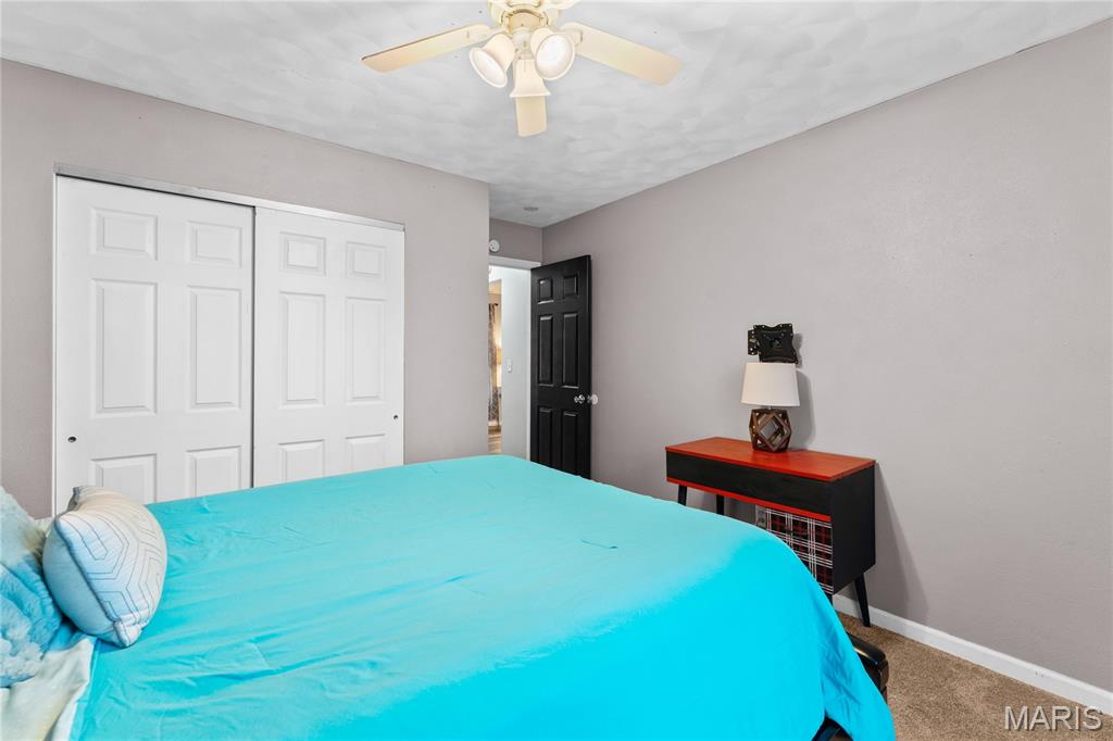 223 North Cedar Bluff Drive Valmeyer, IL 62295 - Photo 25 of 40