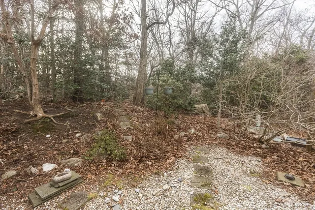 a view of a forest with trees