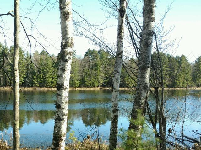 Near Powell Road Manitowish Waters, WI 54545 - Photo 3 of 5 Gallery Image 3